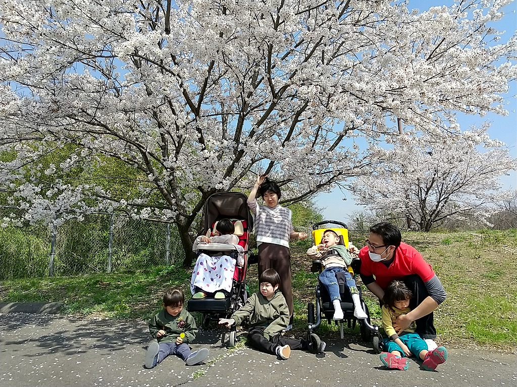 児デ桜1.jpg