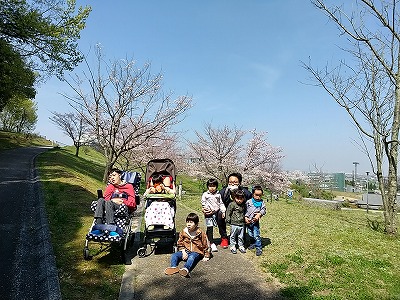 児デ桜3.jpg